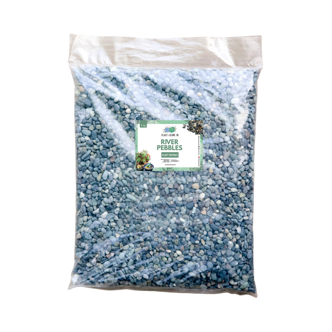 River Pebbles  by Plant Culture PH