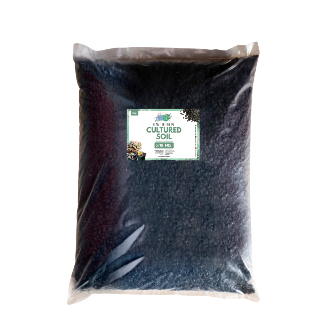 Cultured Soil for Cactus and Succulent by Plant Culture PH