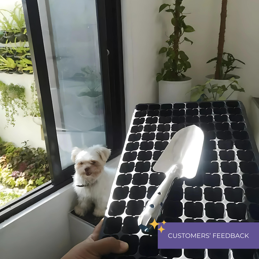 Hand Trowel Stainless by Plant Culture PH