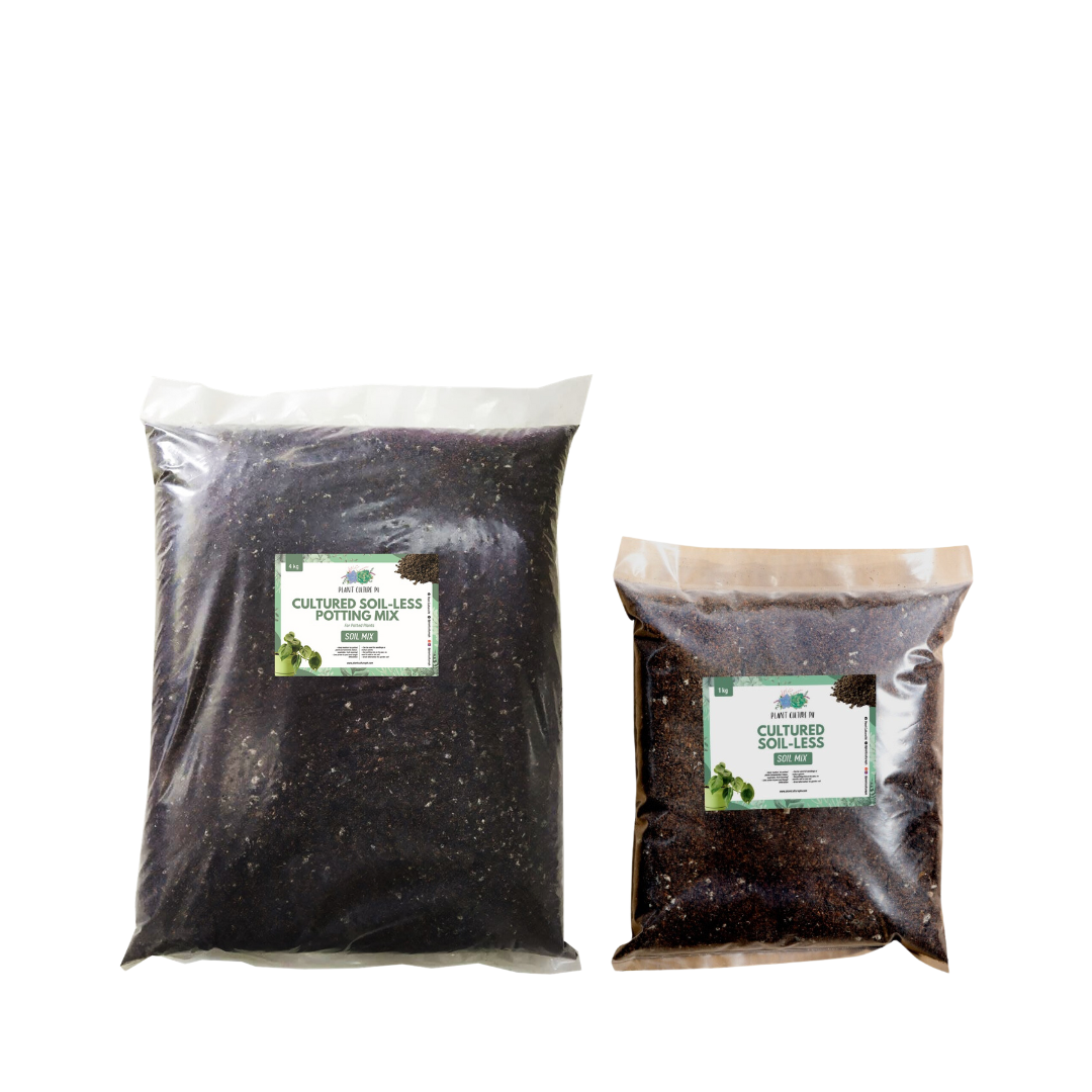 Soilless outlet potting mix