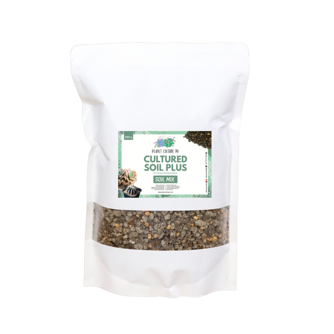 Cultured Soil Plus for Cactus and Succulents by Plant Culture PH