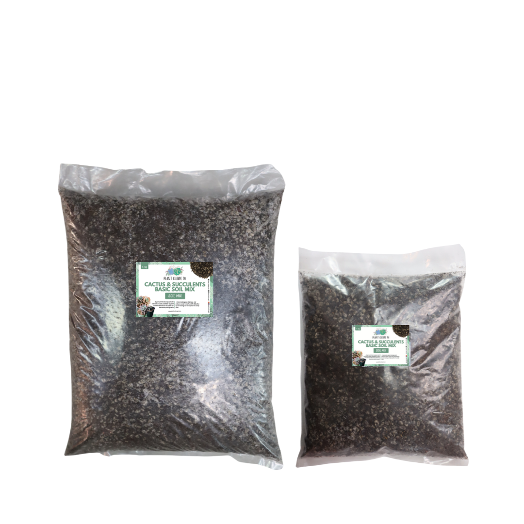 Basic Soil Mix for Cactus and Succulents