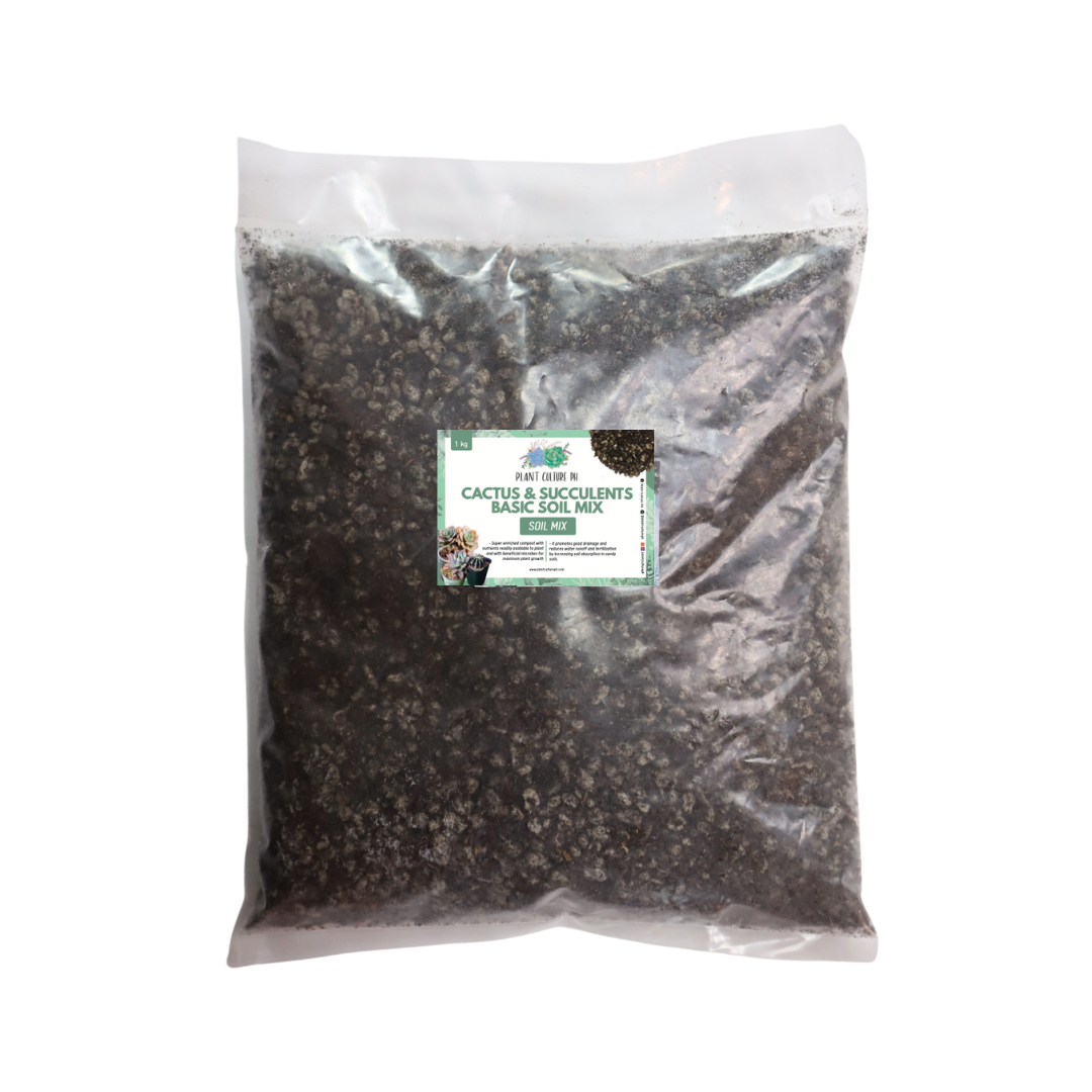 Basic Soil Mix for Cactus and Succulents