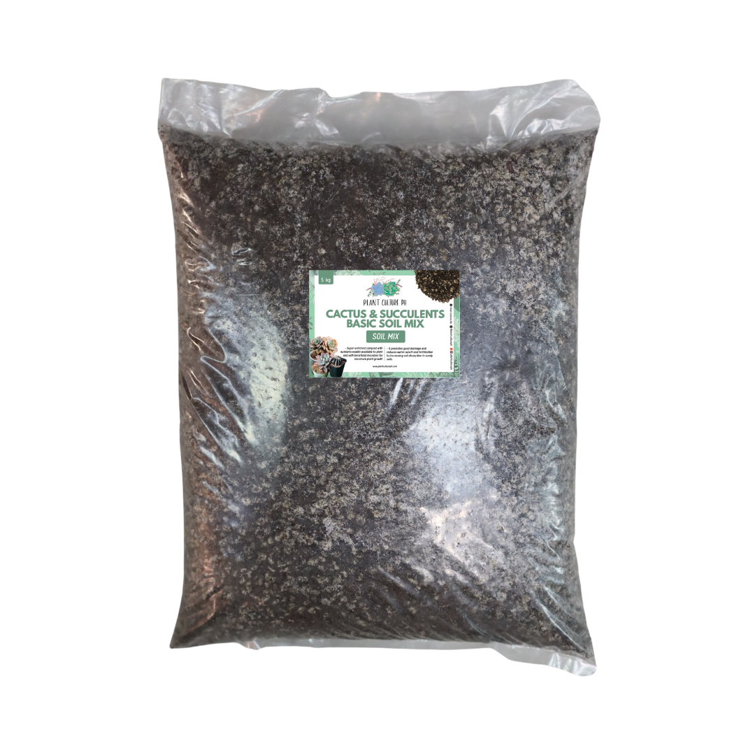 Basic Soil Mix for Cactus and Succulents