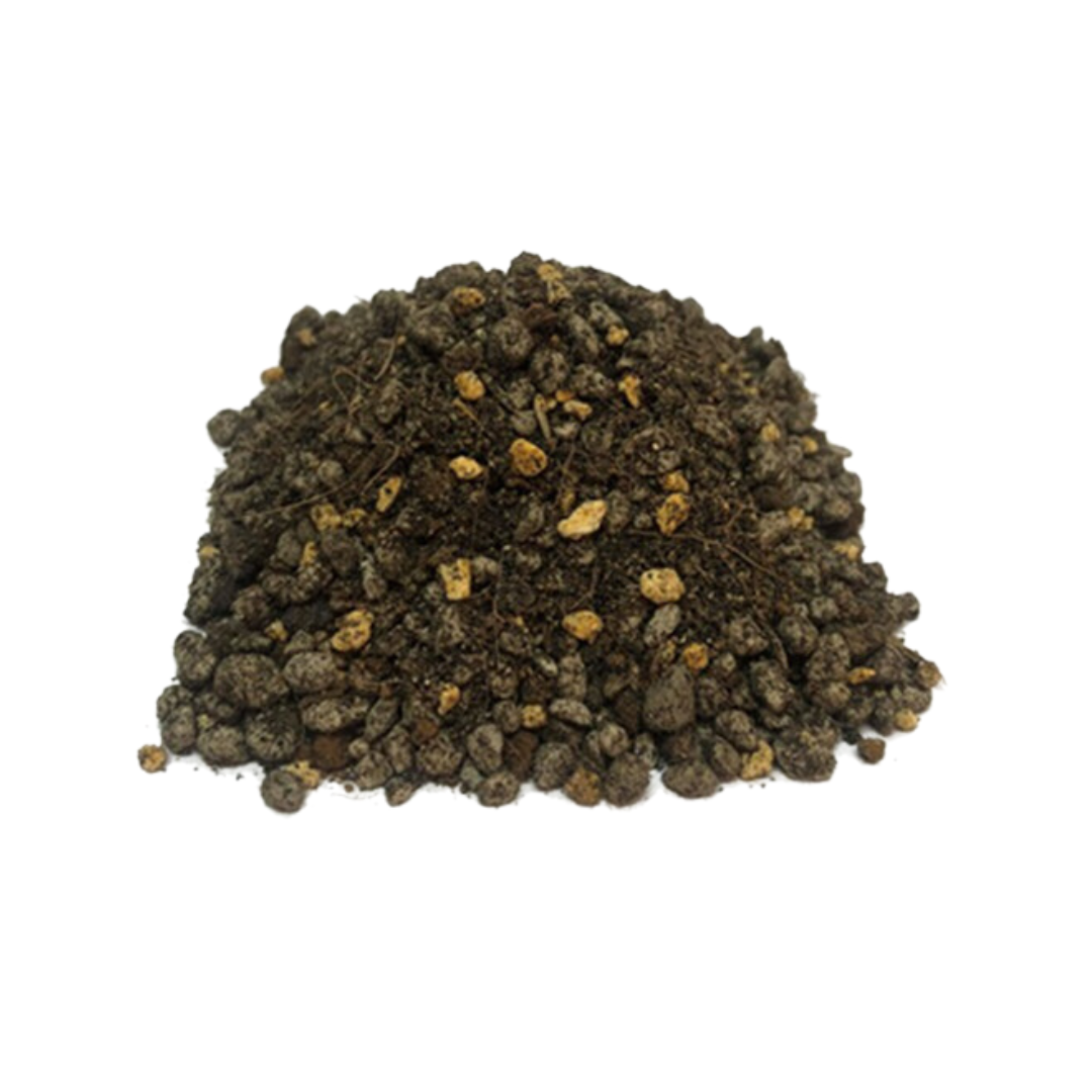 Cultured Soil Plus For Cactus And Succulents 900G X 4 Bundle Cns