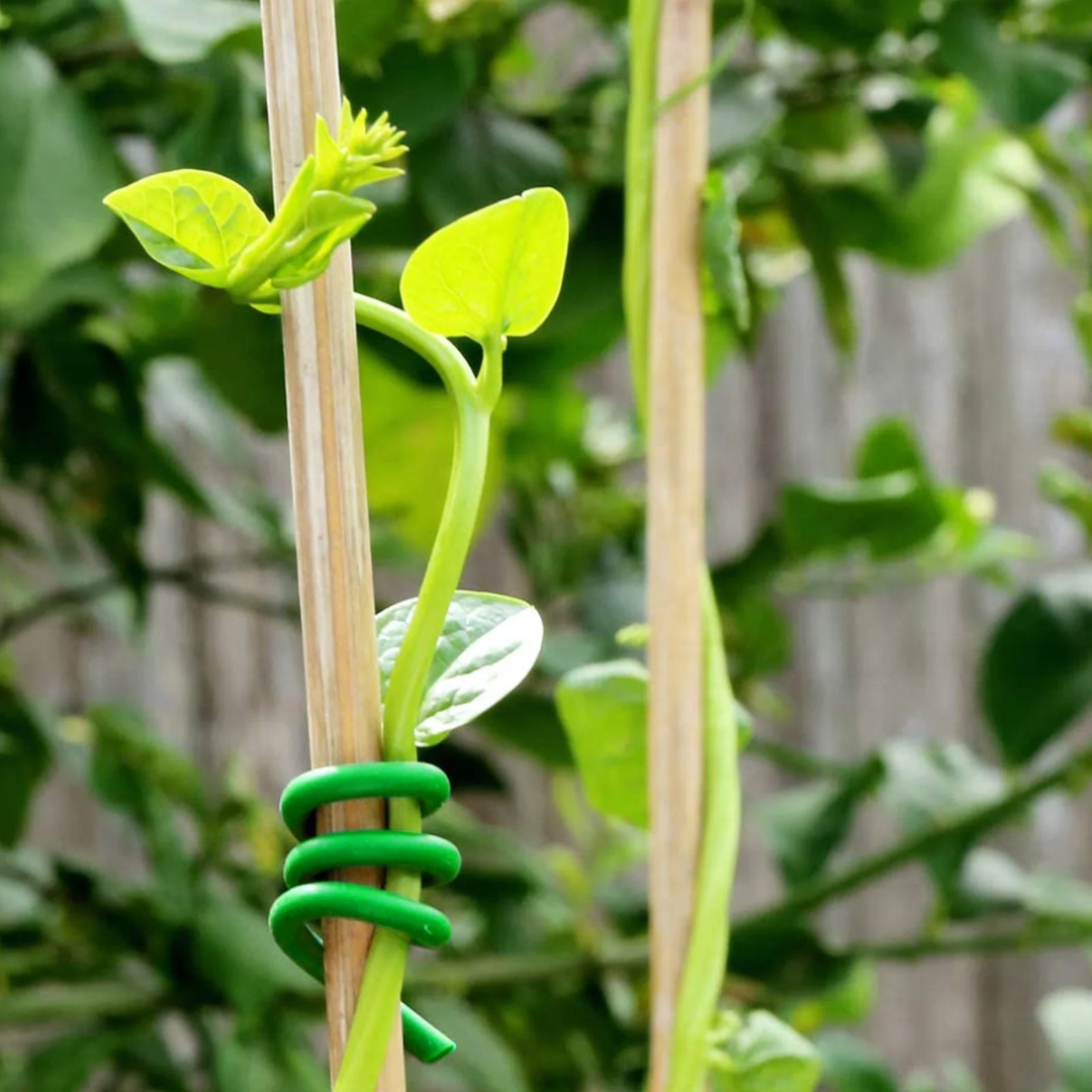 All-purpose Twist Tie Wire Spool with Cutter for Plants, Gardening, Organizing, and Home 20m