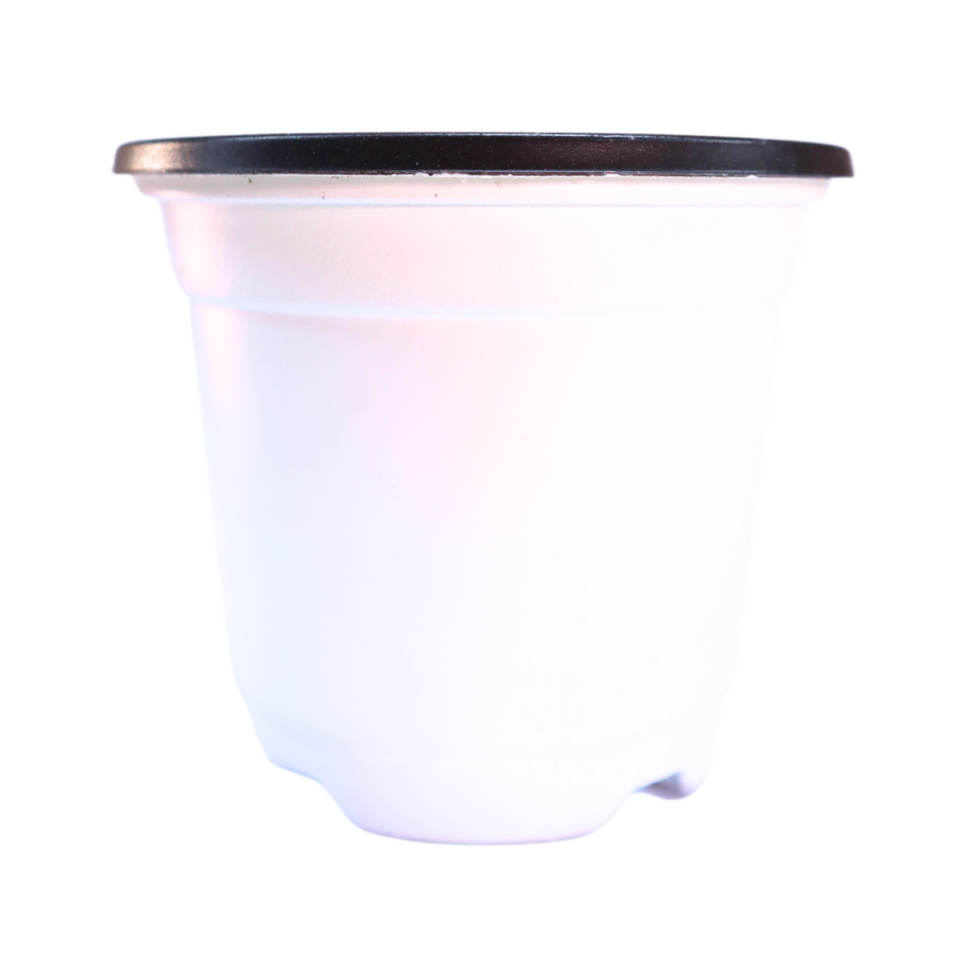 Soft Flexible Planter (10 pcs) | PVC Pots