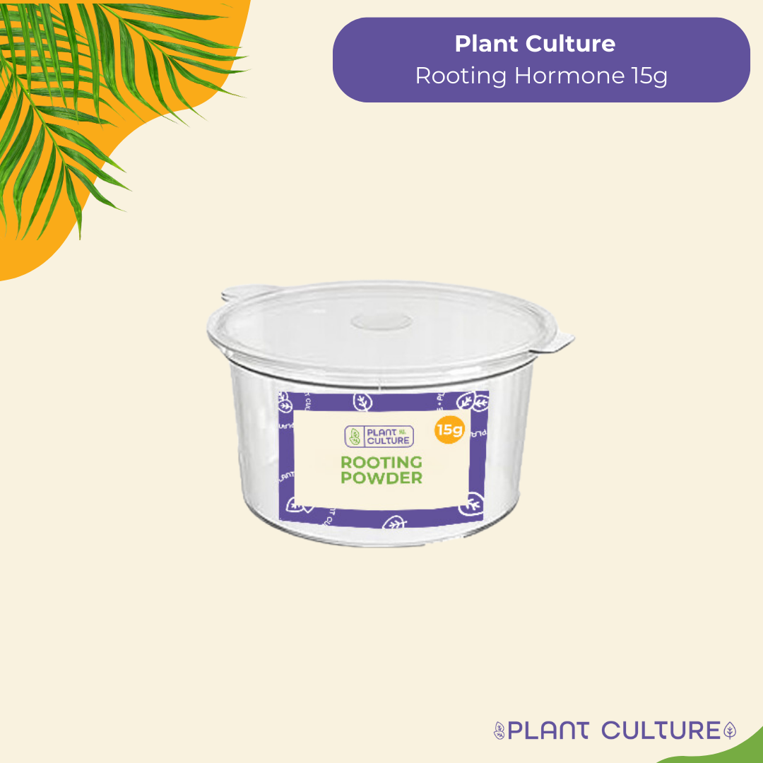 Plant Culture Rooting Powder Ornamentals, Vegetables, Flowering, Fruit-bearing, Succulents, Cactus