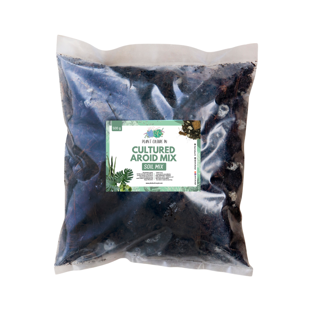 Cultured Aroid Mix by Plant Culture PH