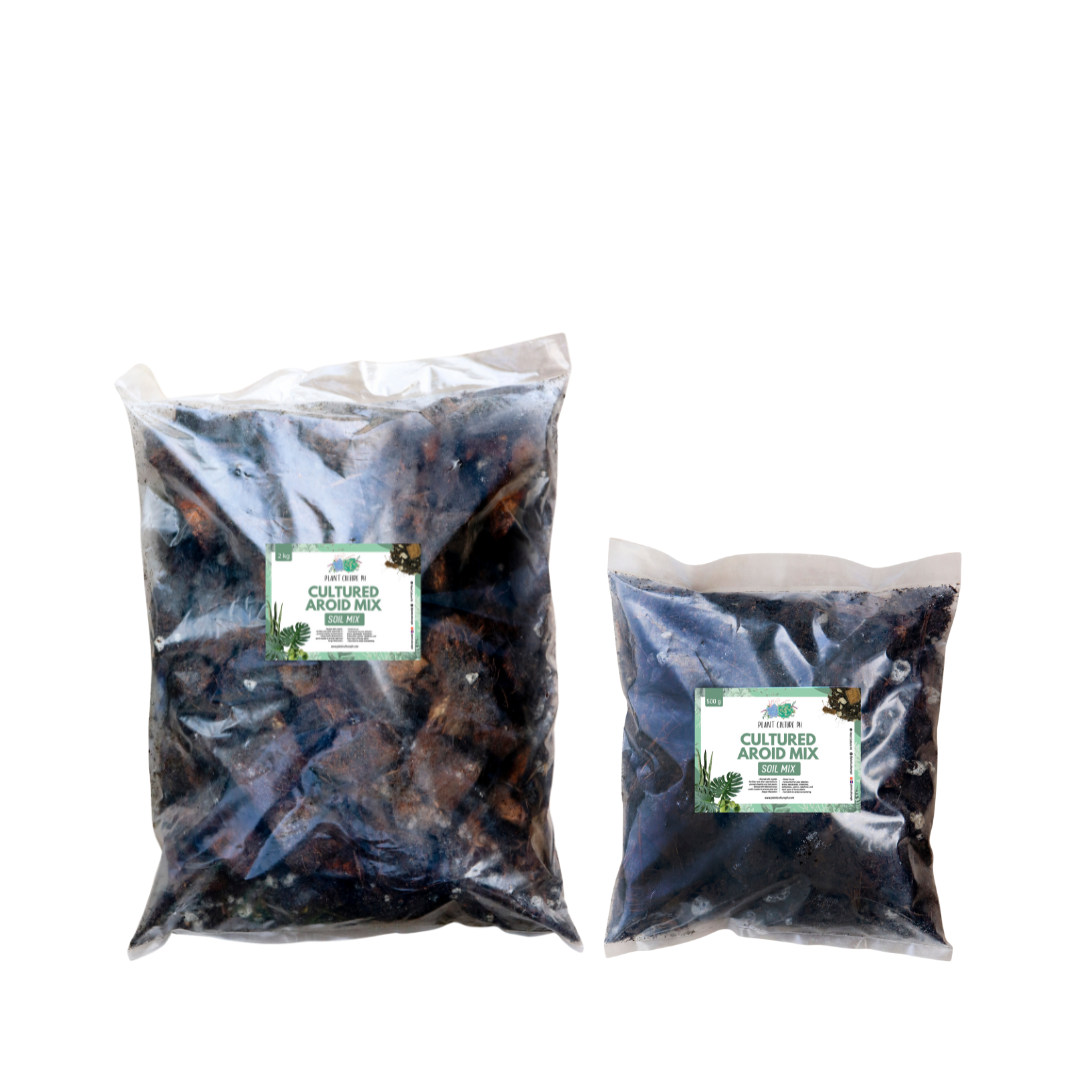 Cultured Aroid Mix by Plant Culture PH