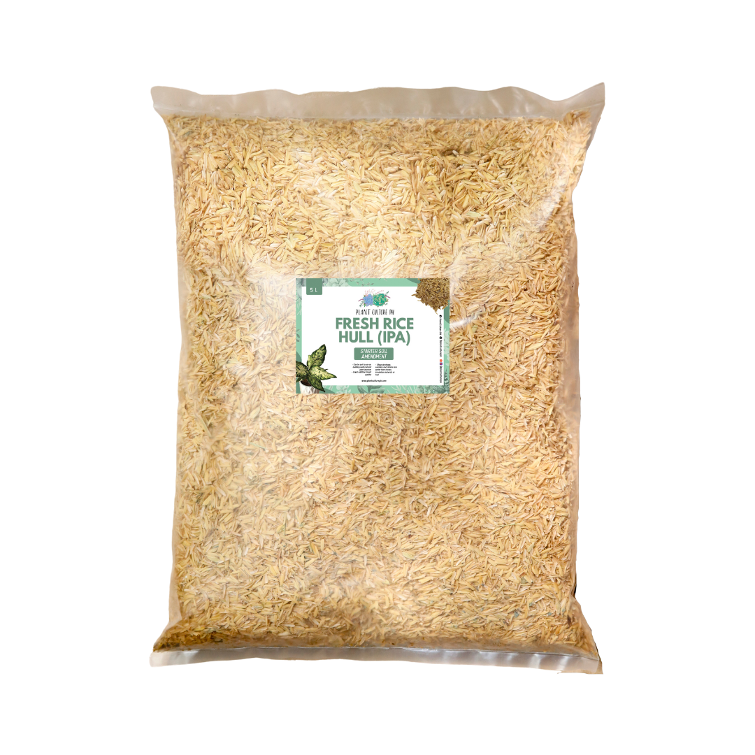 Fresh Rice Hull (Ipa) by Plant Culture PH