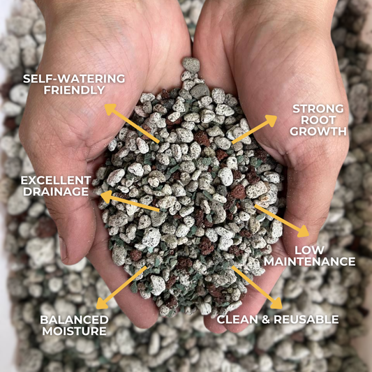 Cultured Pon Substrate 1L & 5L | Premium Mineral Growing Medium