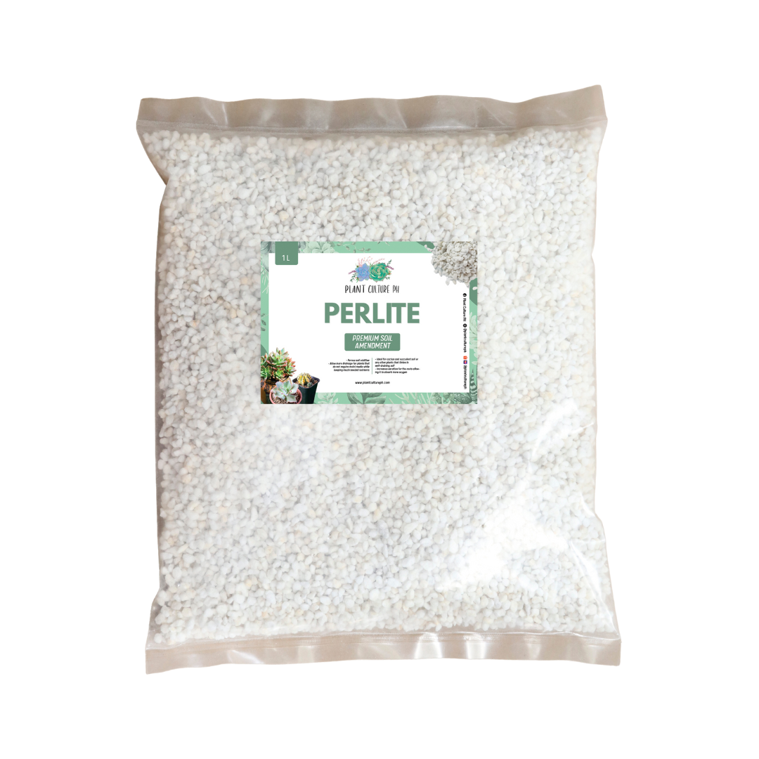 Perlite 5L by Plant Culture PH