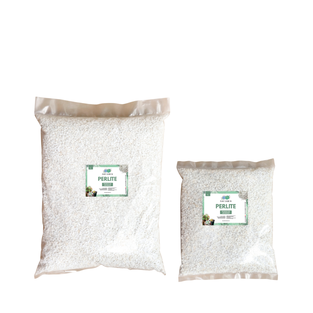 Perlite by Plant Culture PH