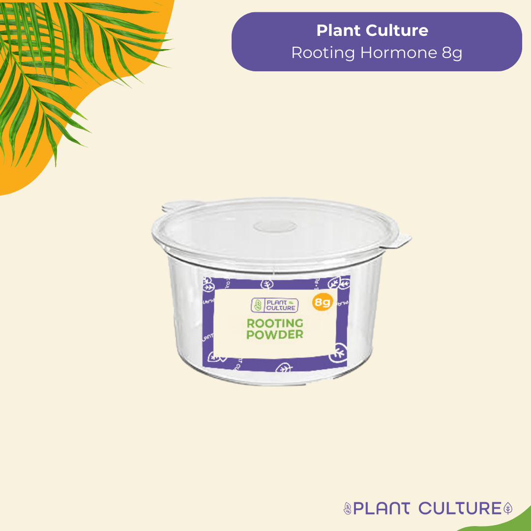 Plant Culture Rooting Powder Ornamentals, Vegetables, Flowering, Fruit-bearing, Succulents, Cactus