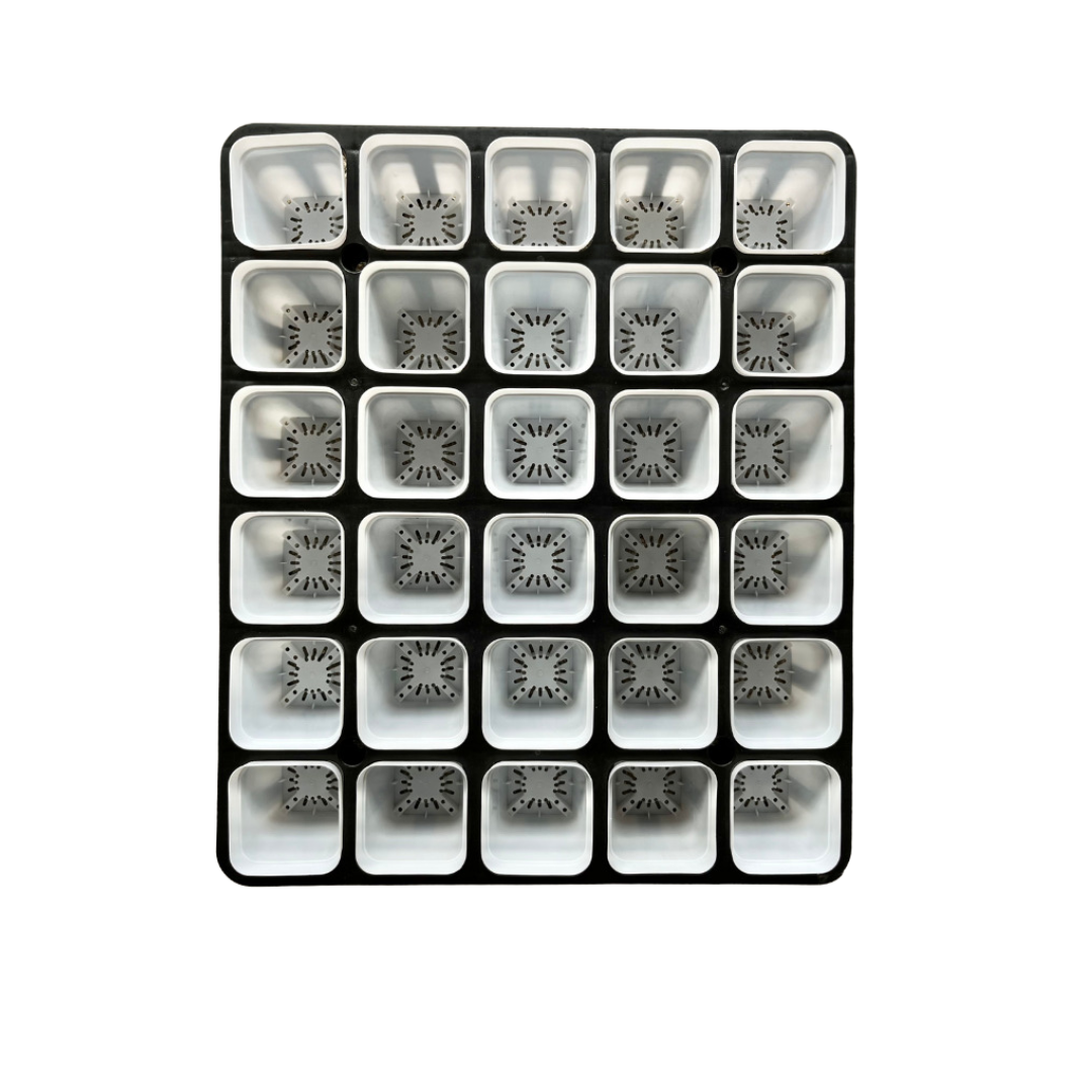 Plastic Pot Holder for Cactus, Succulents, Seedlings, etc.