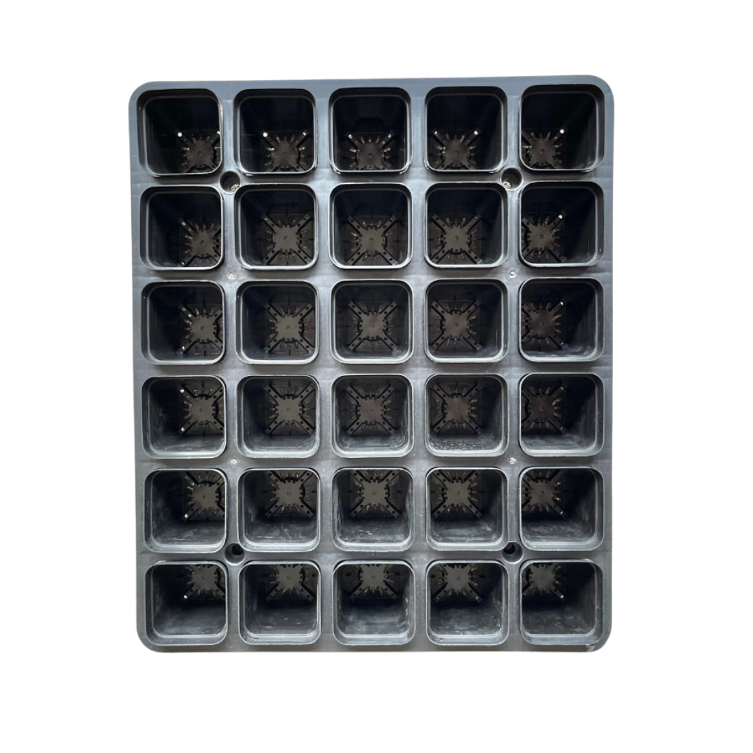 Plastic Pot Holder for Cactus, Succulents, Seedlings, etc.