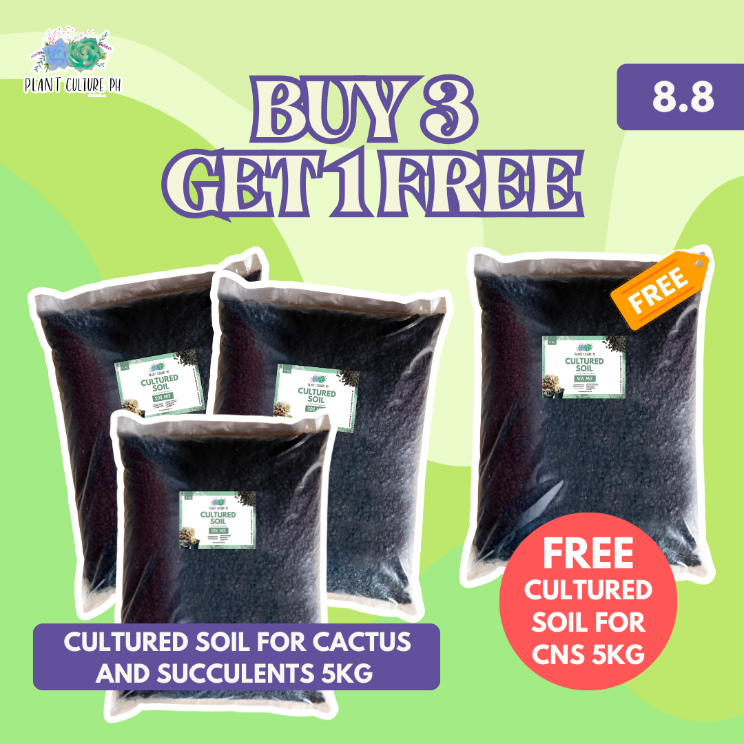 Plant Culture Buy 3 Cultured Soil for Cactus and Succulents 5kg Get 1 FREE