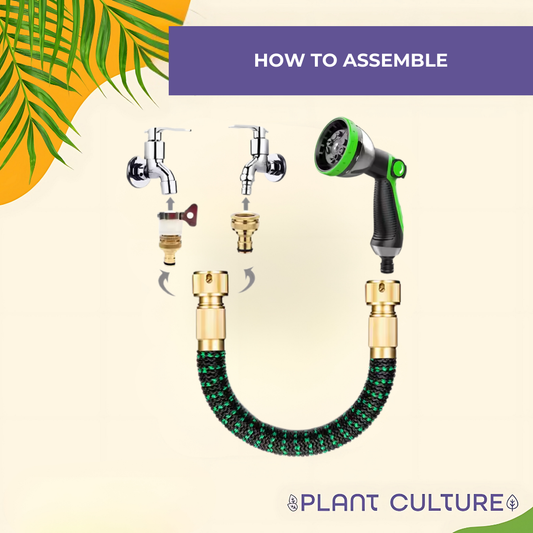 Expandable Garden Hose Set by Plant Culture PH