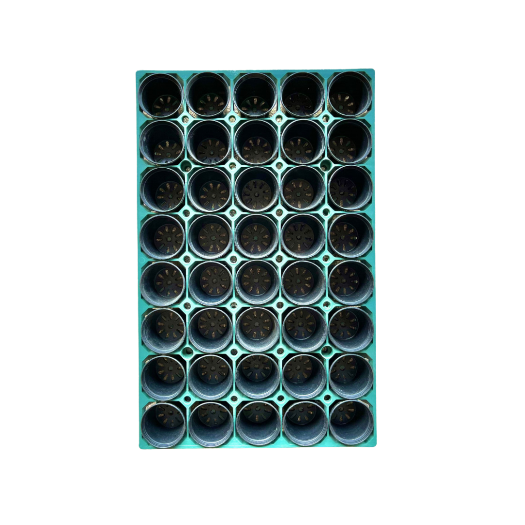 Plastic Pot Holder for Cactus, Succulents, Seedlings, etc.