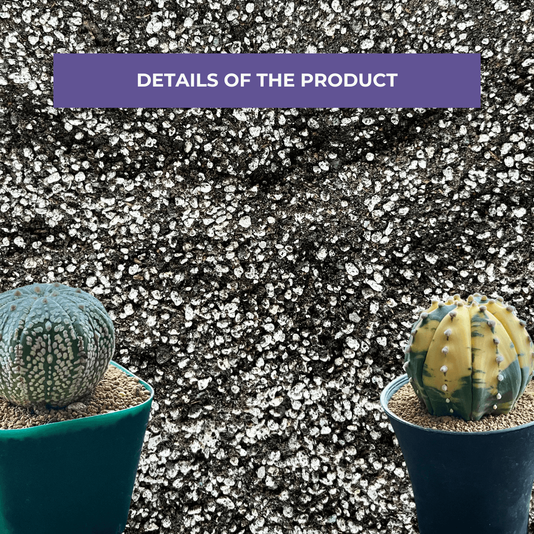 Cultured Soil for Astrophytums & Lophophoras