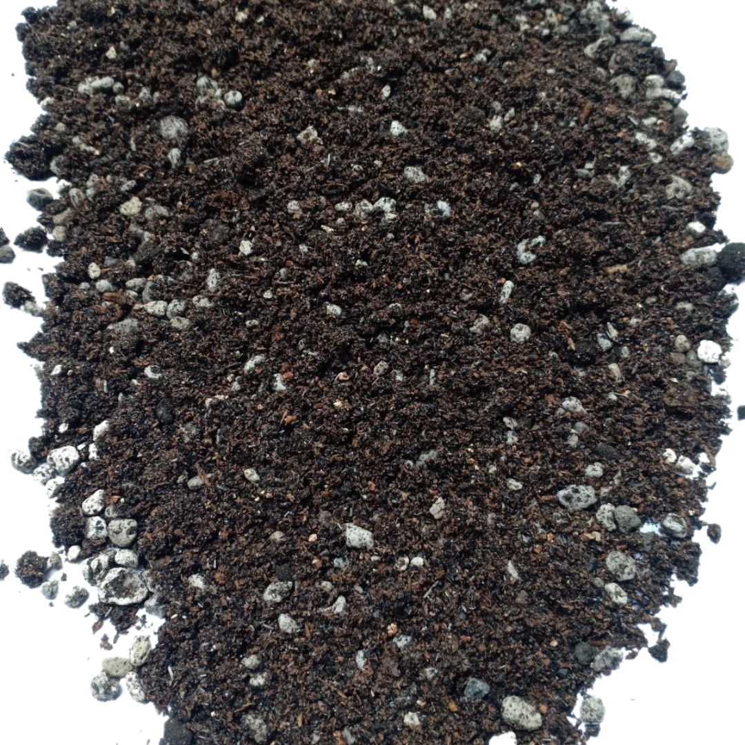 Cultured Soil for Gymnocalycium Cactus