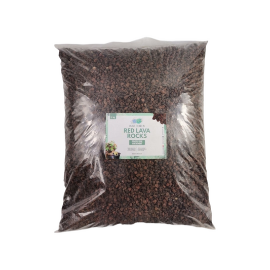 Scoria Red Lava Rocks by Plant Culture PH