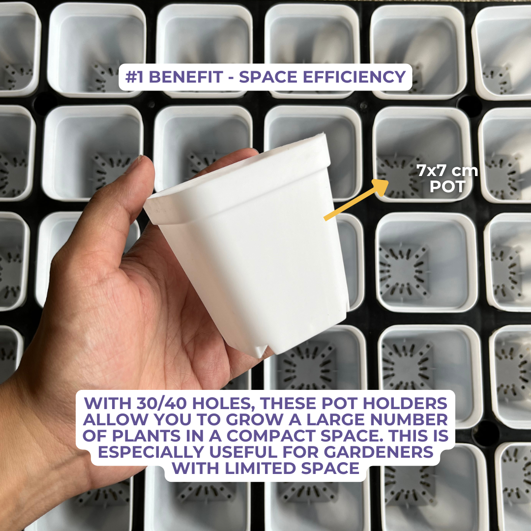 Plastic Pot Holder for Cactus, Succulents, Seedlings, etc.