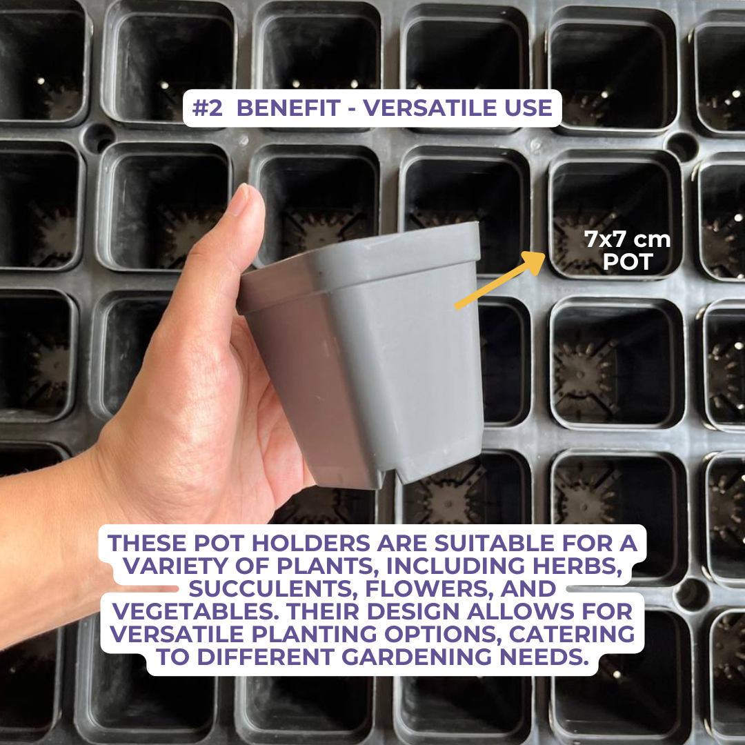 Plastic Pot Holder for Cactus, Succulents, Seedlings, etc.