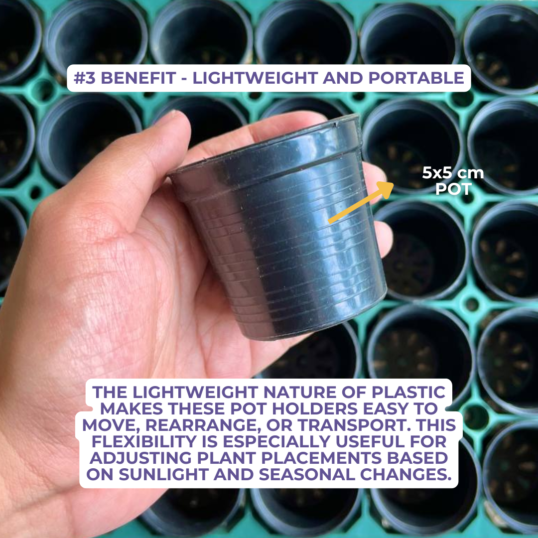 Plastic Pot Holder for Cactus, Succulents, Seedlings, etc.