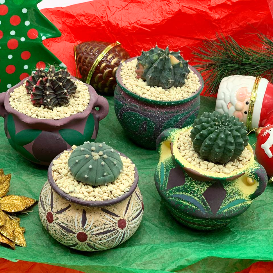 Mediterranean Pots