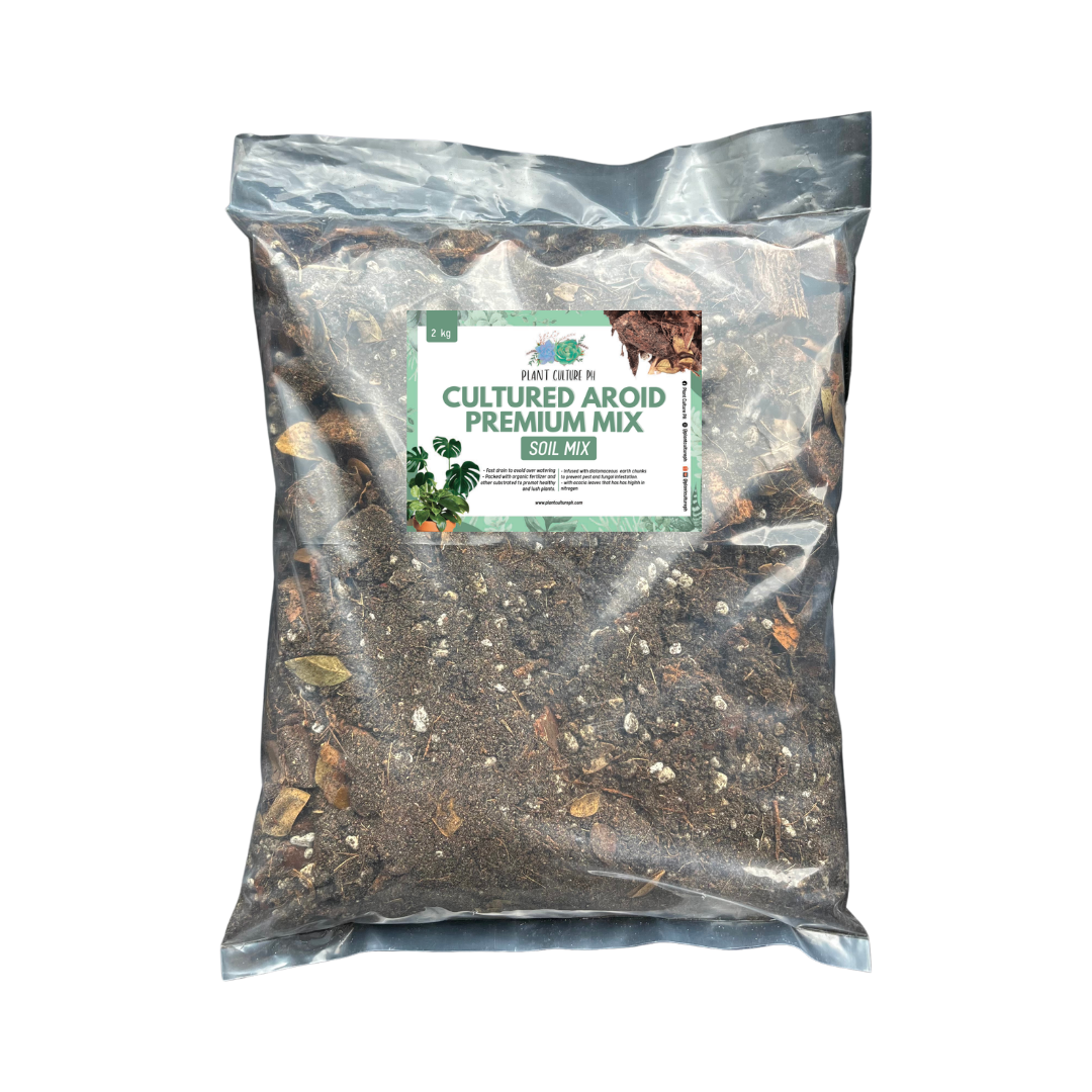 Cultured Aroid Mix by Plant Culture PH