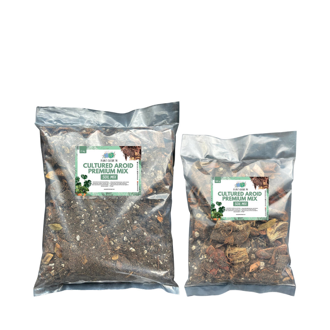 Cultured Aroid Mix by Plant Culture PH