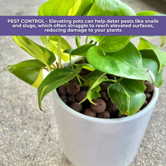 Elevated Planter with Wooden Stand | Ceramic Pots