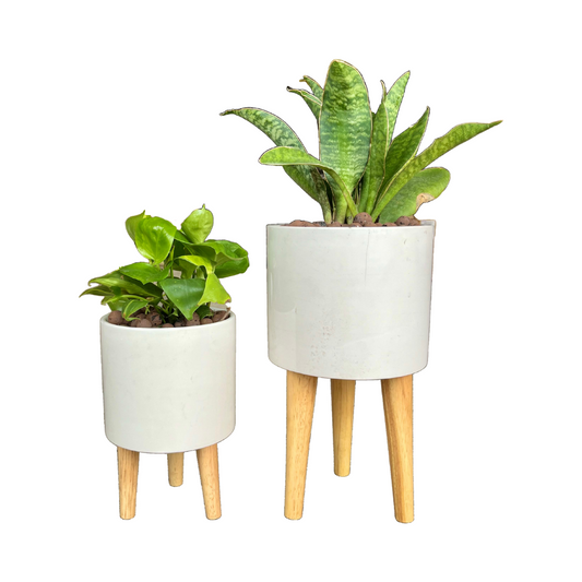 Elevated Planter with Wooden Stand | Ceramic Pots