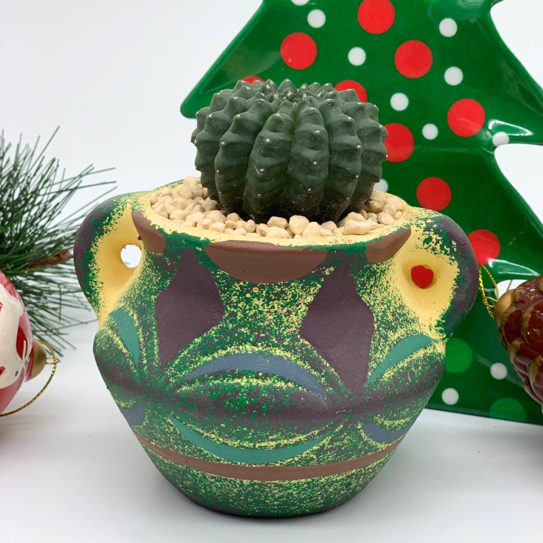 Mediterranean Pots