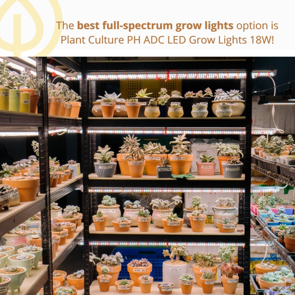 ADC LED Grow Lights by Plant Culture PH