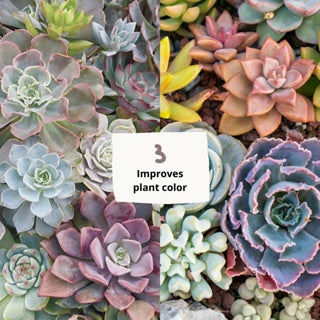 ADC LED Grow Lights by Plant Culture PH