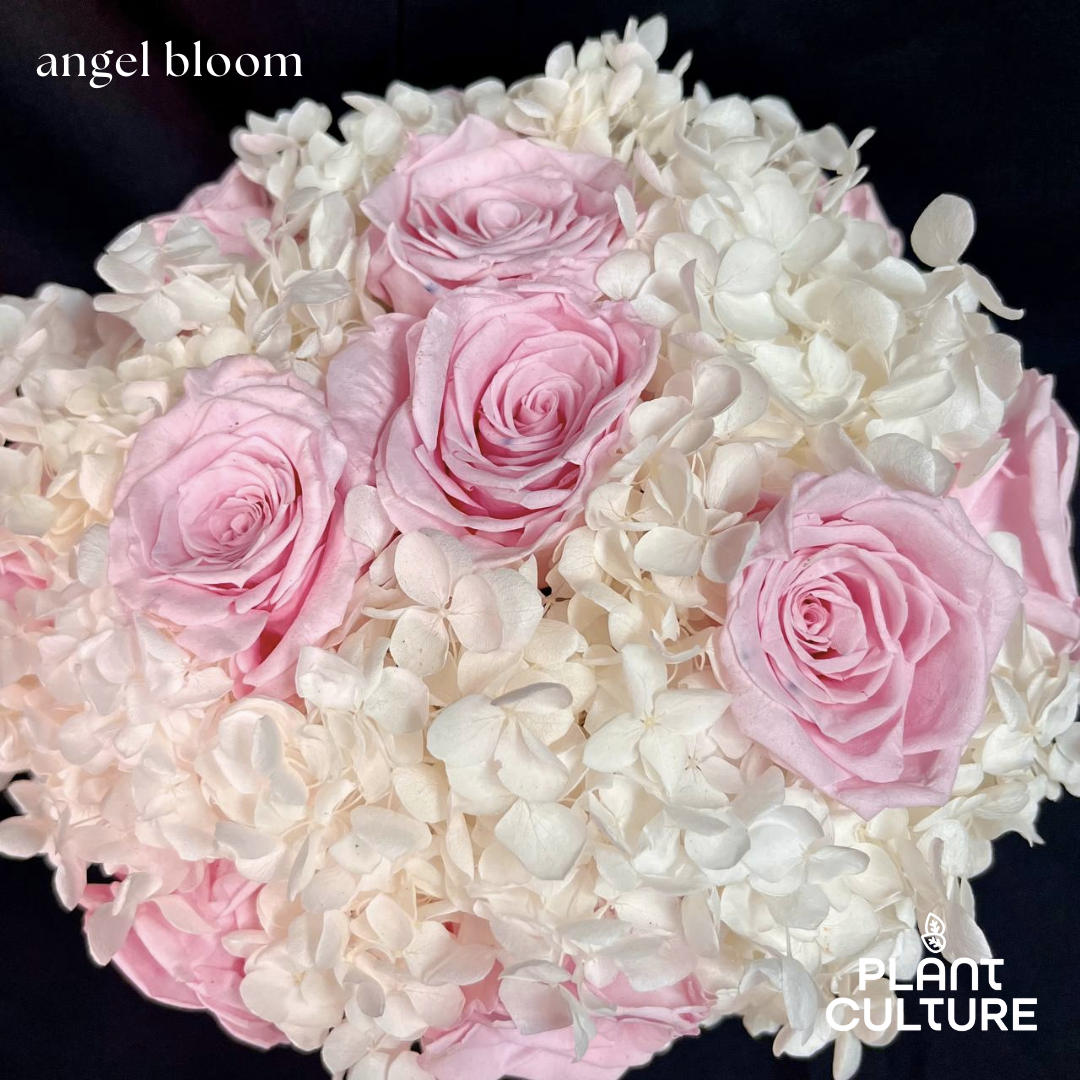 Angel Bloom Dried Flower Arrangement