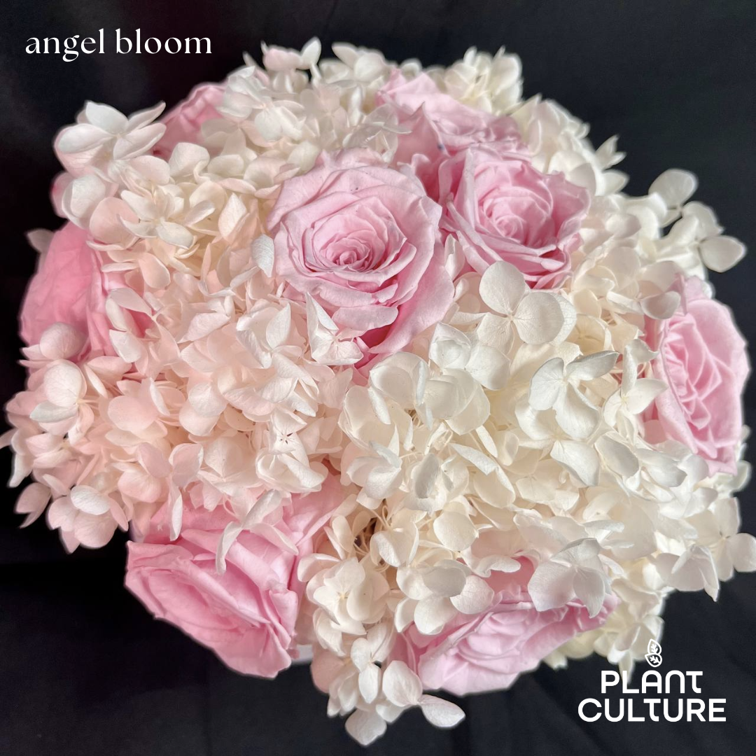 Angel Bloom Dried Flower Arrangement