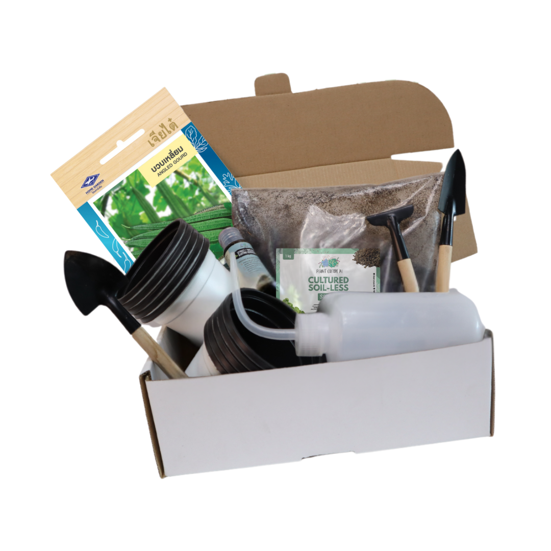 Plant Culture PH Vegetable Seed Starter Kit