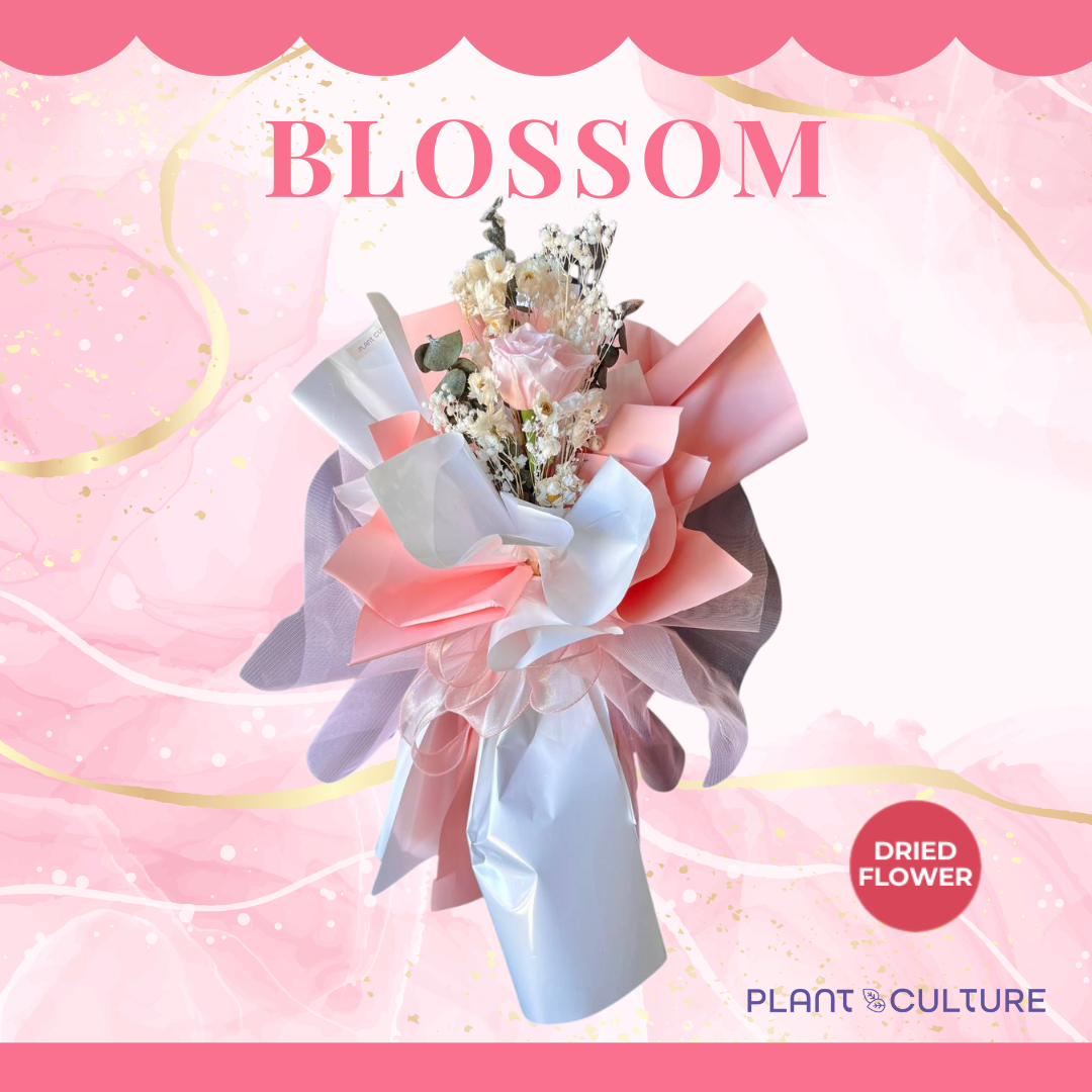 Blossom Preserved Pink Dried Flower Arrangement