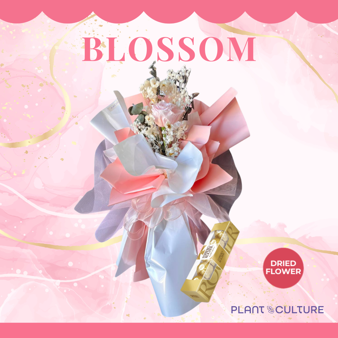 Blossom Preserved Pink Dried Flower Arrangement