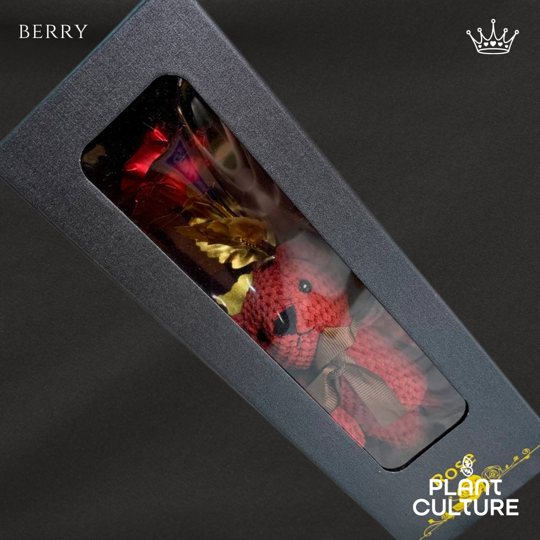 Berry Red Teddy Bear with Infinity Rose