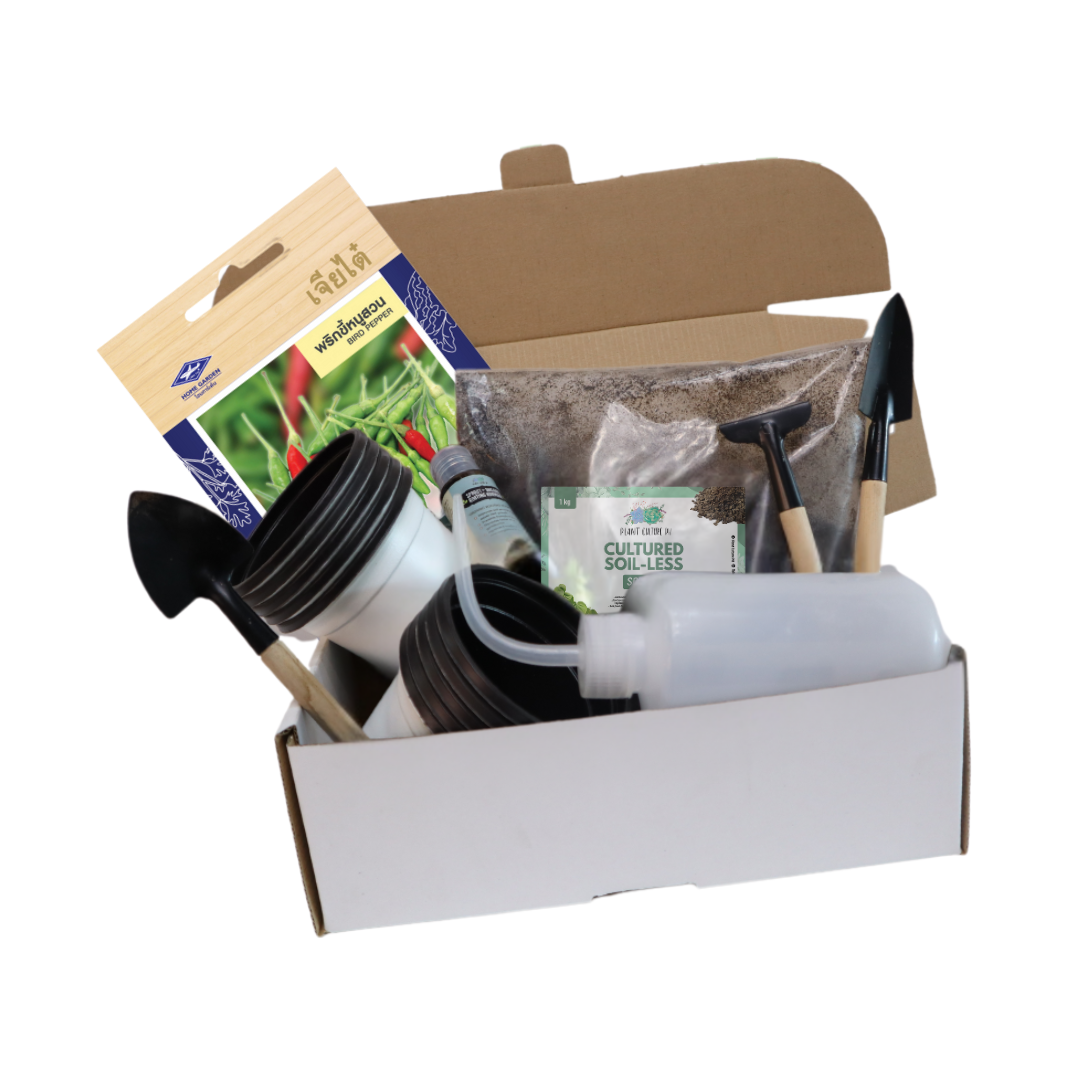 Plant Culture PH Vegetable Seed Starter Kit