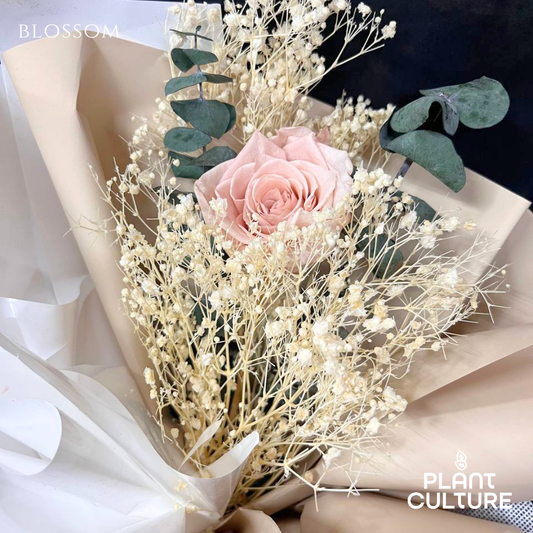 Mother's Day Dried Preserved Flower | Blossom