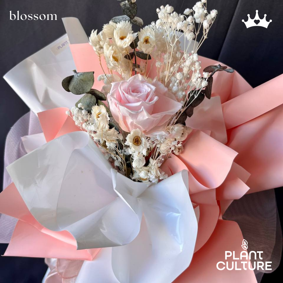 Blossom Preserved Pink Dried Flower Arrangement