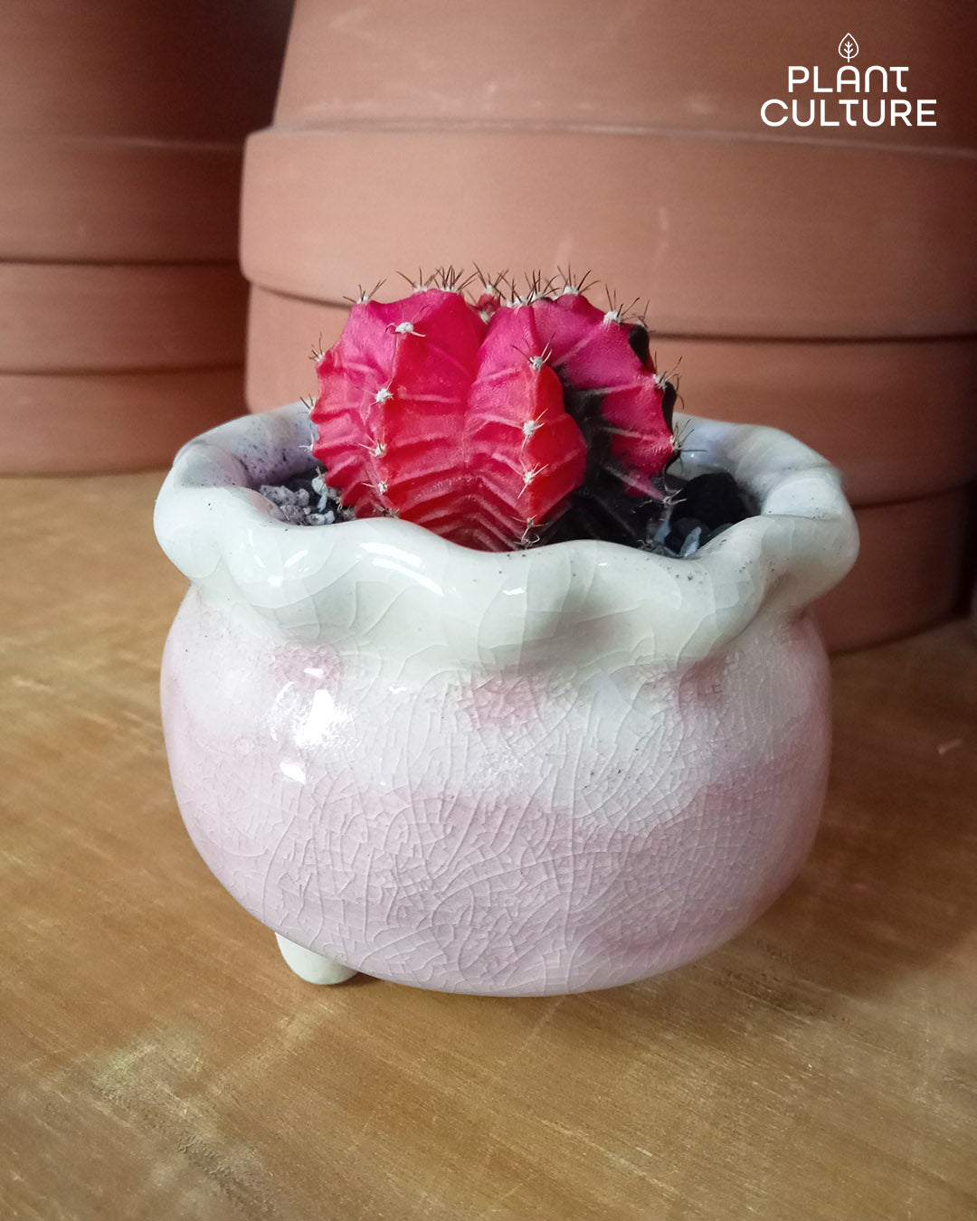 Cute Pastel Pots