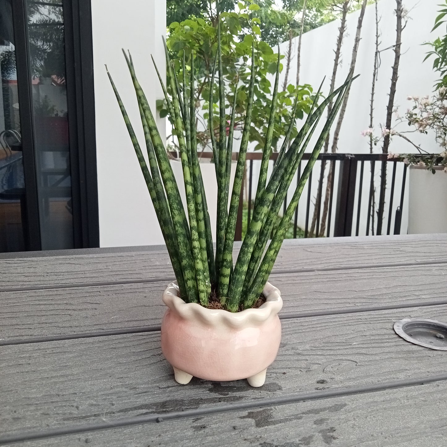 Cute Pastel Pots
