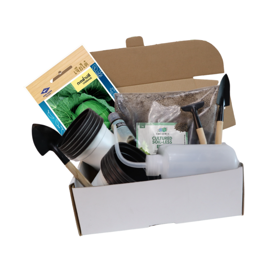 Plant Culture PH Vegetable Seed Starter Kit